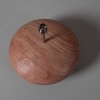 Sequoia Lamp