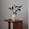 Walnut Pillar Table OWG1